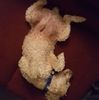 jameschaney10